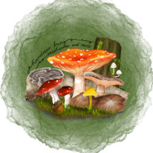 Woodland Wonders
