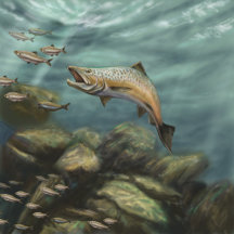 Psweets Design - Paintings