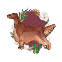 Irish Setter