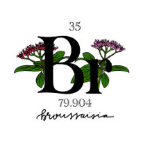 Bromine/Brouissaia