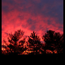 fine art: reproductions & photos: prints & posters