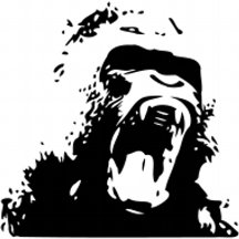 APE - AMC Gear