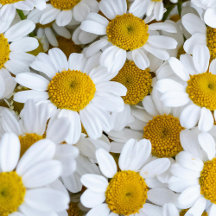 Adorable Baby Boutique!