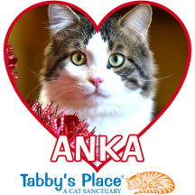 Anka