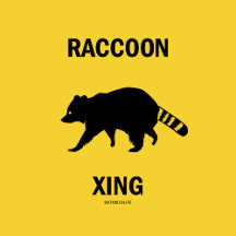 Raccoon