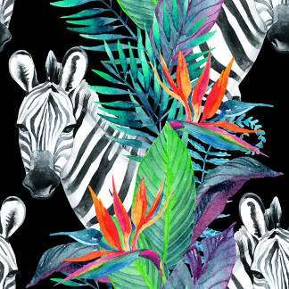Tropical Delight Collection