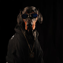 Doberman Art