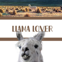 Llama Lover