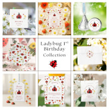 Cute Ladybug 1st Birthday Party 
