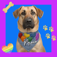 PRIDE - Dog Beds and Accessories