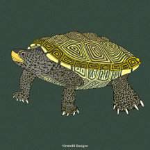Terrapin Turtle