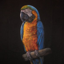 Print of my paintings on your mug