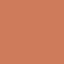 Trendy Rustic Copper