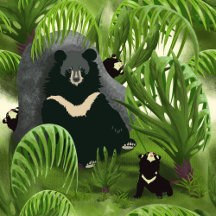 Moon Bear Party