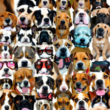 Dog Lover