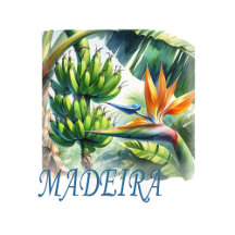 A souvenir from Madeira