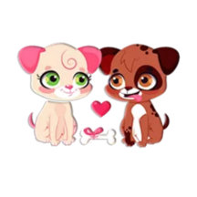 animais 