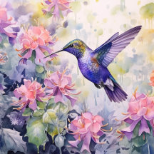 Hummingbird Garden