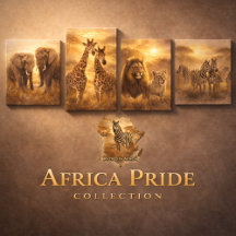 Africa Pride — This Is Africa