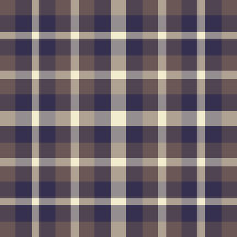 Plaid No. 69