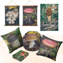 Mushrooms