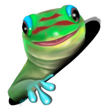 Geckos