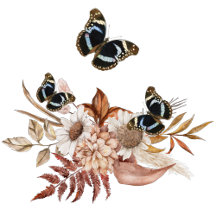 Bouquet floral blooming garden