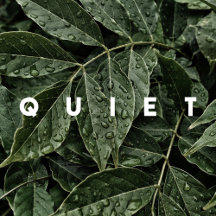 QUIET