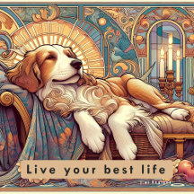Live your best life