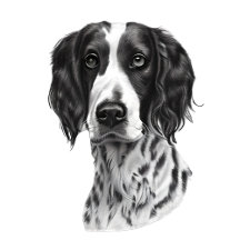 Sketches and Drawings