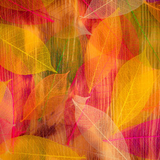 Autumn Colors
