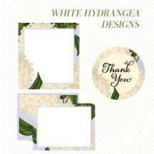 White Hydrangea Collection