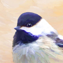 Chickadees
