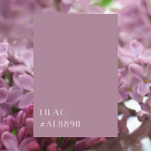 LILAC PURPLE