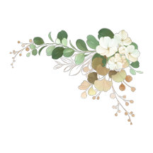 Advertisement promotional rackcards collection 