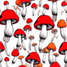 MUSHROOMS ARE GOOD FOR YOU