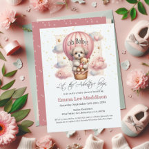 Adventure Begins Hot Air Balloon Baby Shower