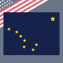 USA State Flags: State Pride & Travel Souvenir