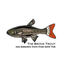 Freshwater Fish - Brook Trout