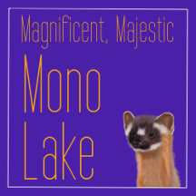 Mono Lake