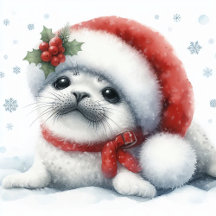 Christmas Cards, Gift Wrap & Ornaments