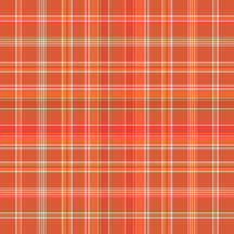 Plaid No. 56