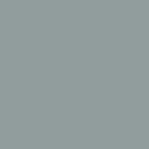 Color 919D9D