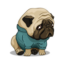 Sad Pug Dog