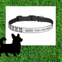 Peeking Dog Personalized Pet Collar