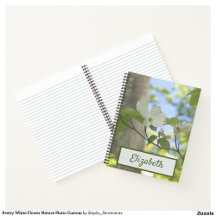 Notebooks