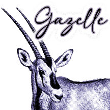Horned Gazelle