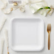 Paper Plate