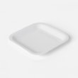 Paper Plate