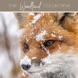 Christmas card - wreath & dove - Peace on Earth